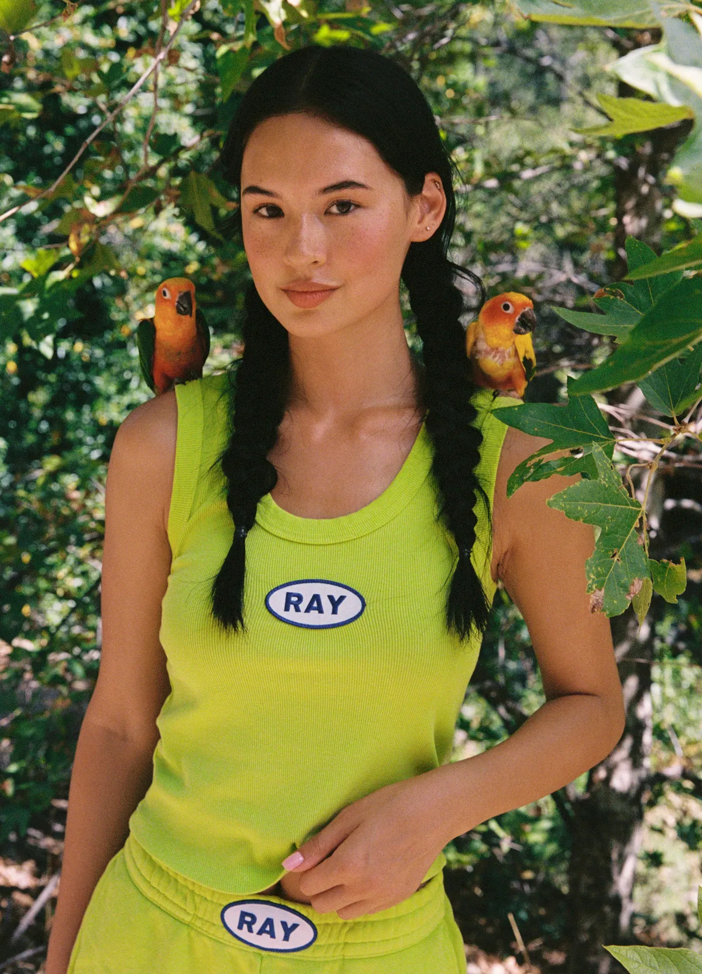 Ray the Brand — Safari — Ray the Brand